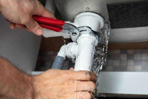 Best Professional water damage repair  in Bell Gardens, CA