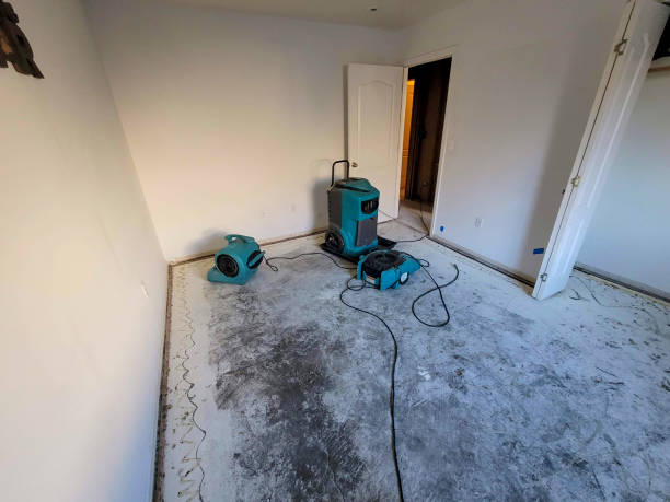  Bell Gardens, CA Water damage restoration Pros