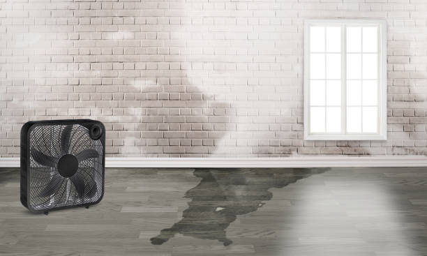 Best Water damage restoration near me  in Bell Gardens, CA
