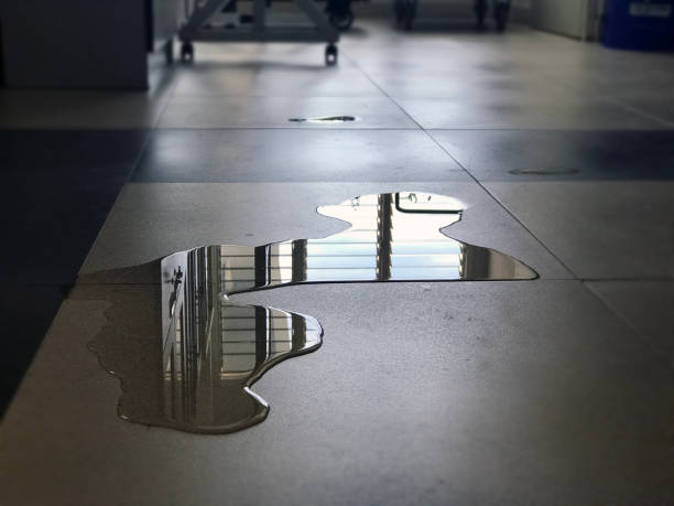 Best Carpet water damage restoration  in Bell Gardens, CA