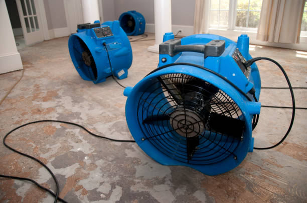 Best 24-hour water damage restoration  in Bell Gardens, CA