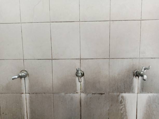Best Water damage contractors near me  in Bell Gardens, CA
