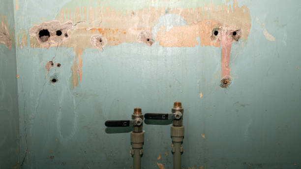 Best Flood restoration services  in Bell Gardens, CA