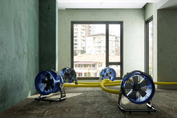 Best Ceiling water damage repair  in Bell Gardens, CA