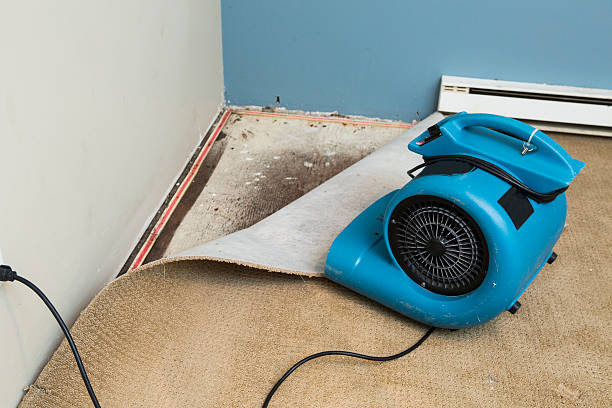 Best Flood restoration services  in Bell Gardens, CA